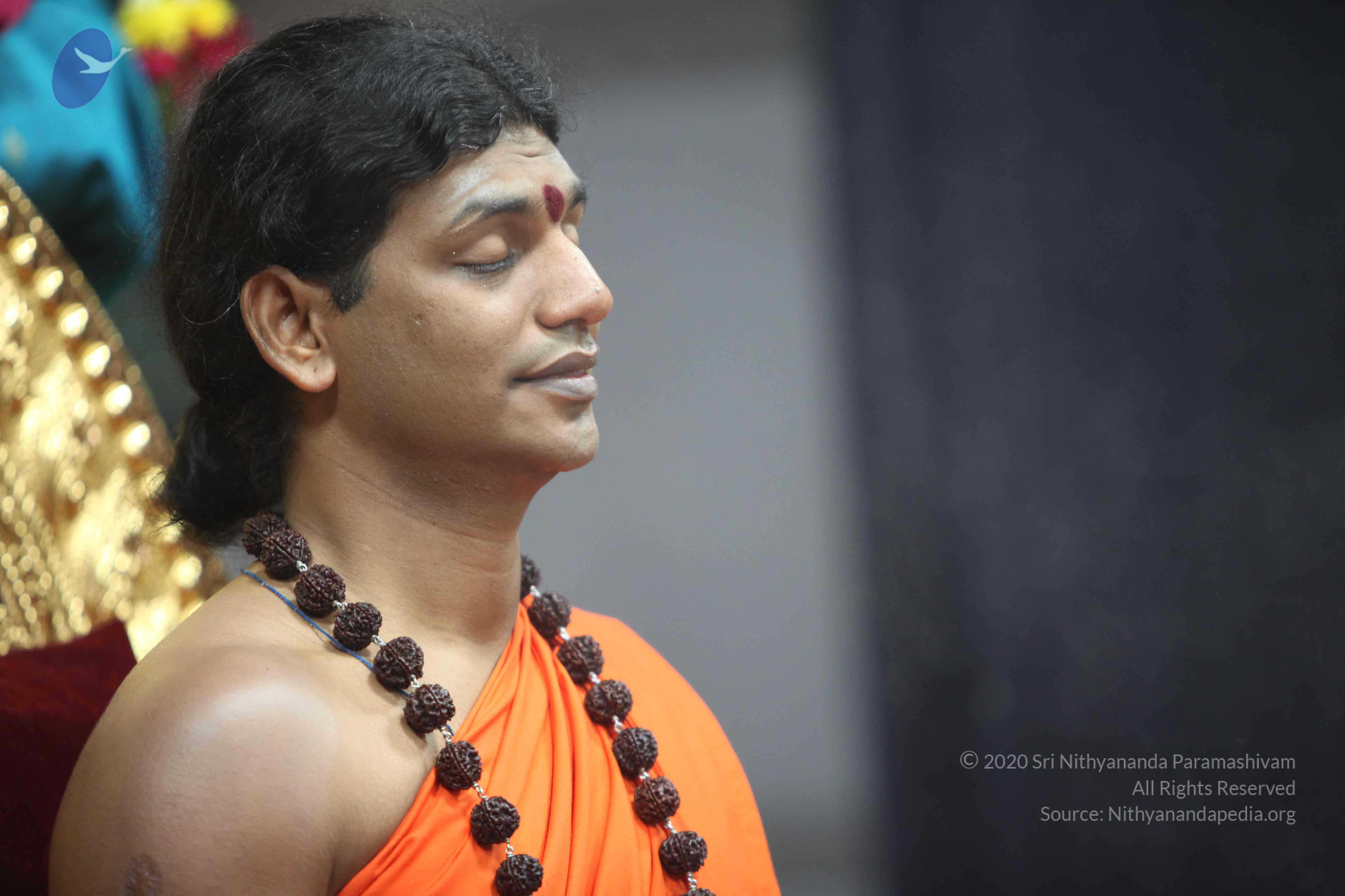 20101119_Photo_1047_IMG_8949 - Copy_CMP_WM